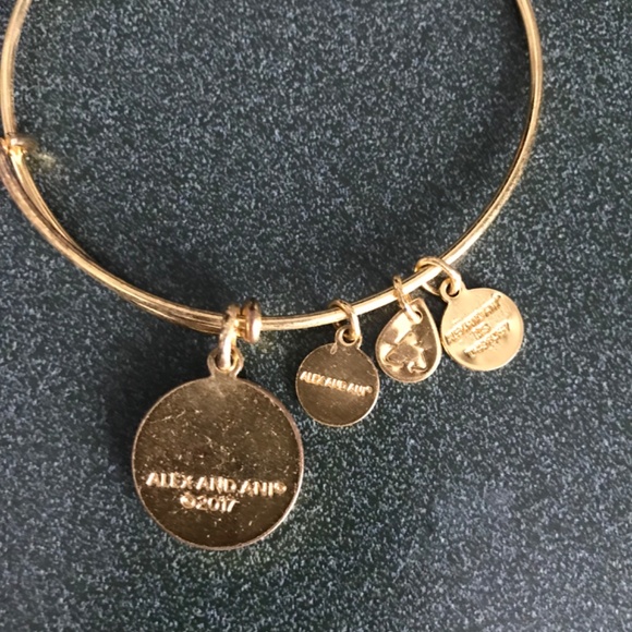 Alex and Ani Expandable Wire Bracelet - Picture 4 of 13